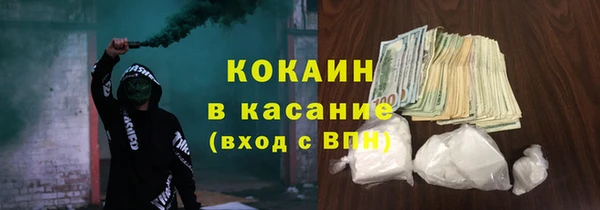 прущие грибы Россошь
