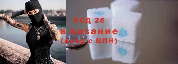 сатива Грязи