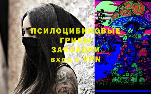 сатива Грязи