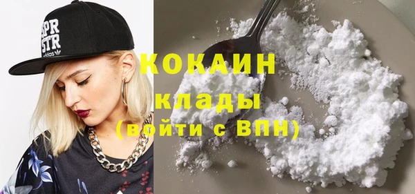 прущие грибы Россошь