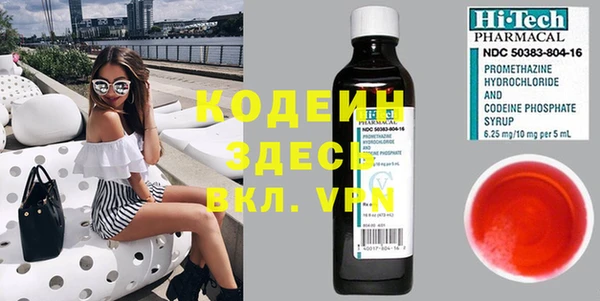 прущие грибы Россошь