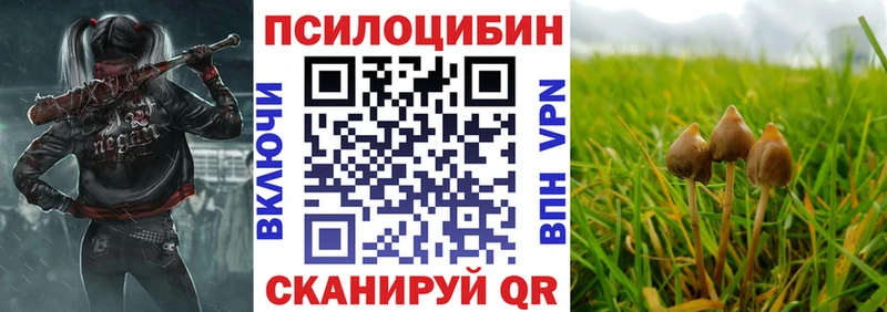 Галлюциногенные грибы мицелий  как найти   Бежецк 